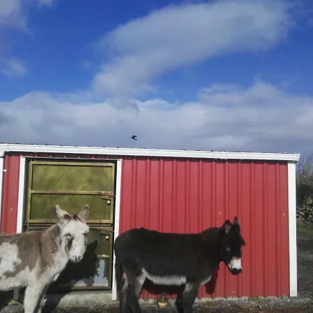 The Wild Atlantic Way Barn ファームステイ オレンモア