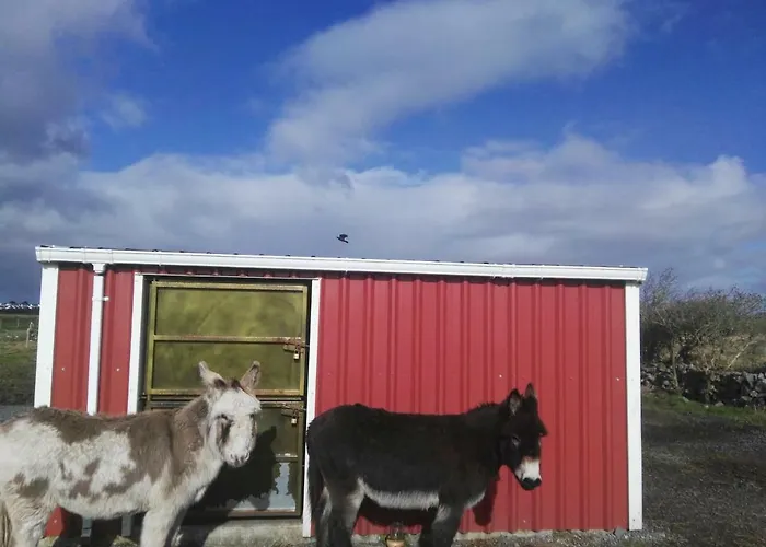 The Wild Atlantic Way Barn Séjour à la ferme Oranmore